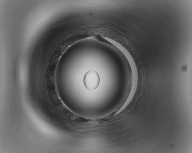 X0000112970764200908271142