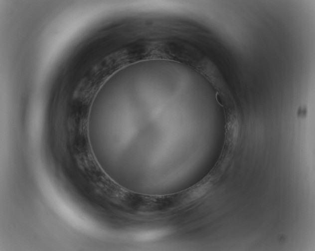 X0000112970765200908271142