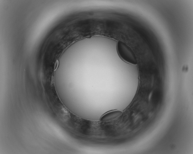 X0000112970766200908271142