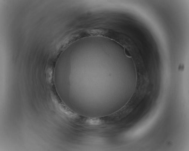 X0000112970767200908271142