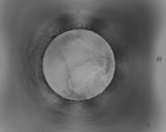 X0000112970769200908271141