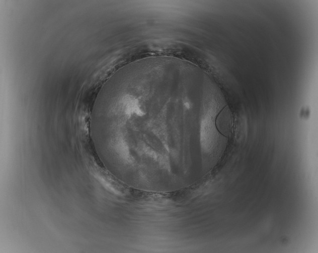 X0000112970770200908271141