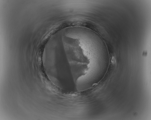 X0000112970771200908271141