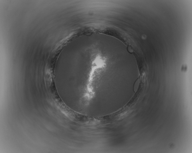 X0000112970772200908271141