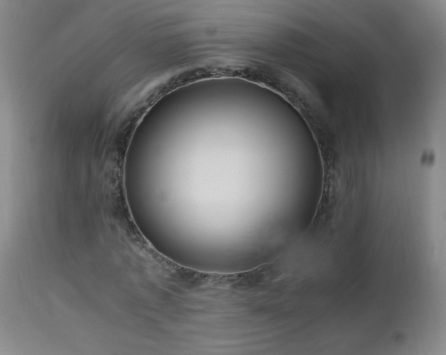 X0000112970773200908271141