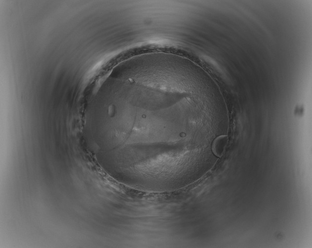 X0000112970776200908271141