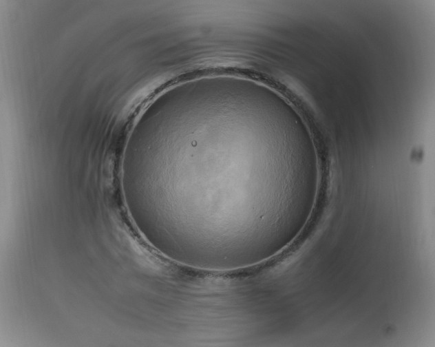 X0000112970777200908271141