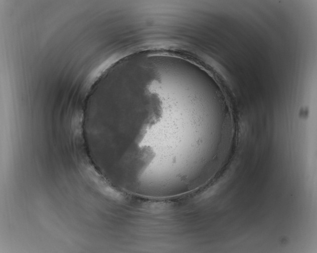 X0000112970778200908271141