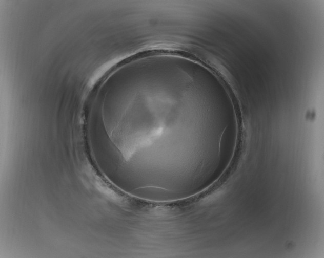 X0000112970779200908271141