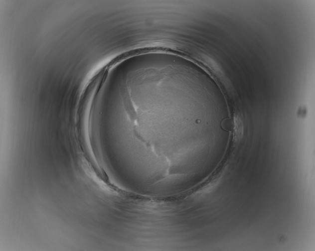 X0000112970780200908271141