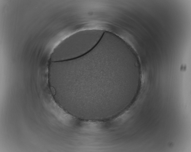 X0000112970781200908271141