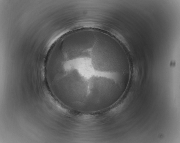 X0000112970782200908271141