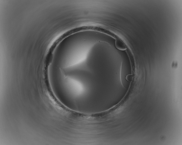 X0000112970783200908271141