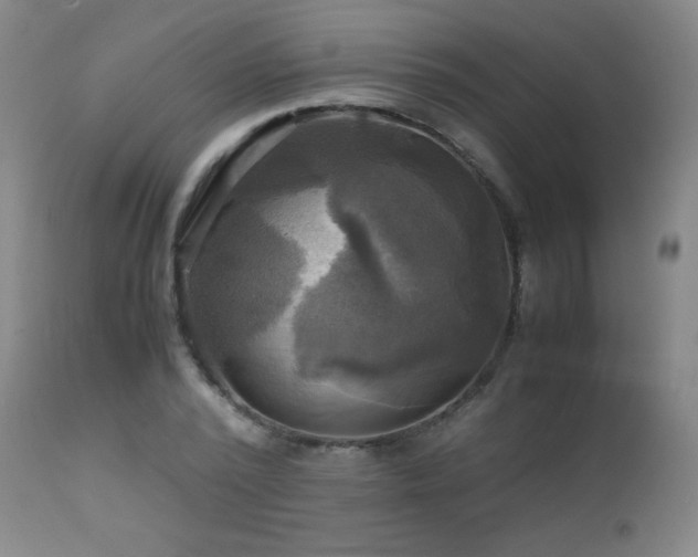 X0000112970784200908271141