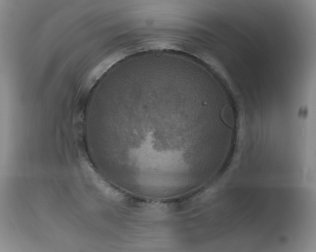 X0000112970785200908271141