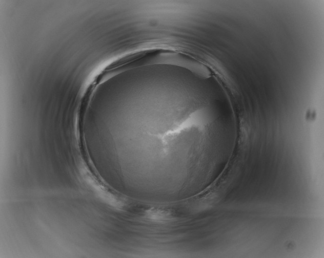 X0000112970788200908271141