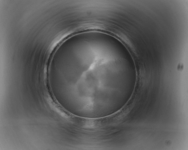 X0000112970790200908271141