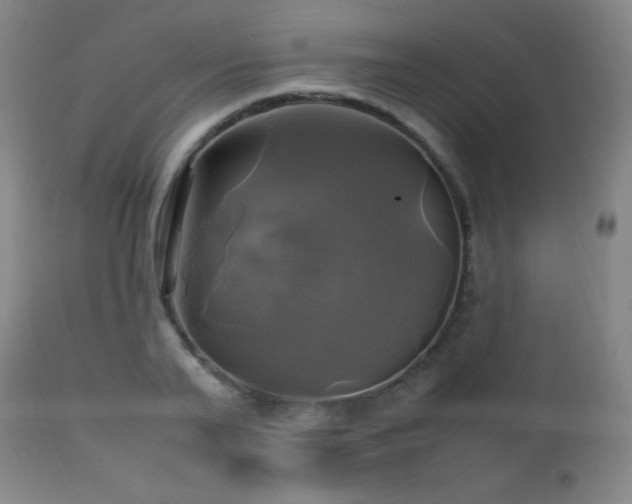 X0000112970791200908271141