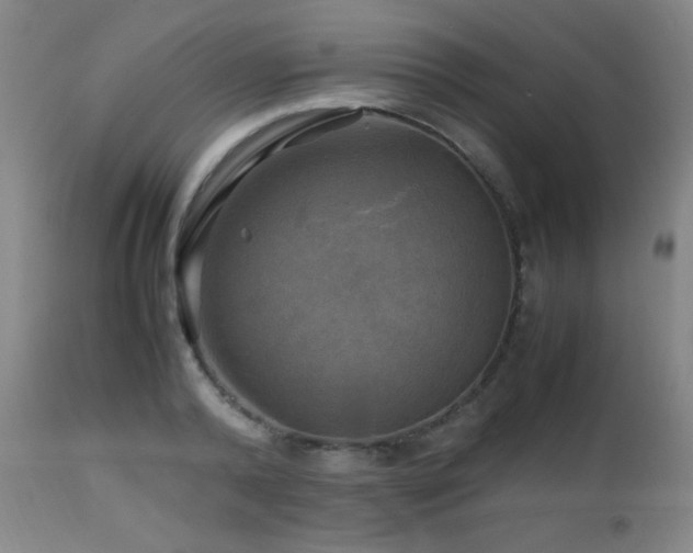 X0000112970792200908271141