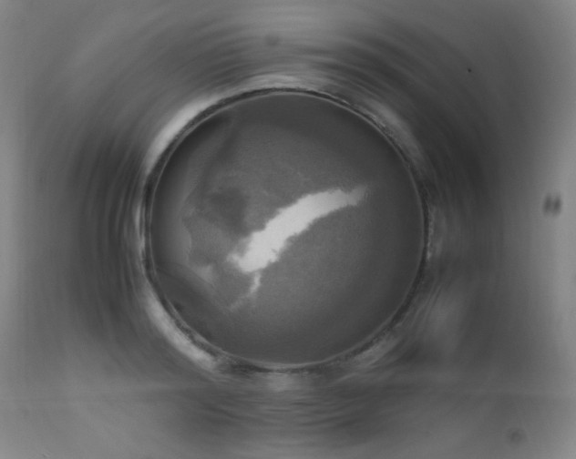 X0000112970796200908271141