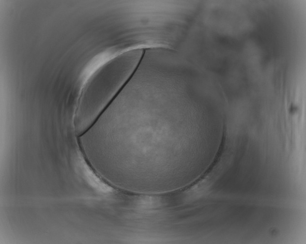 X0000112970797200908271141