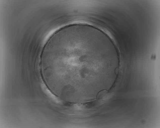 X0000112970799200908271141