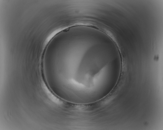 X0000112970803200908271141