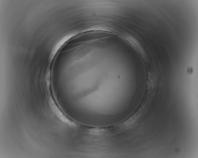 X0000112970804200908271141