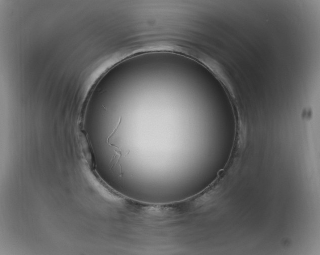 X0000112970805200908271141