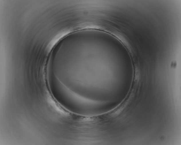 X0000112970806200908271141