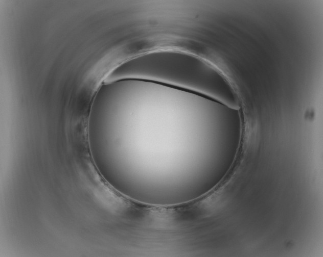 X0000112970809200908271141