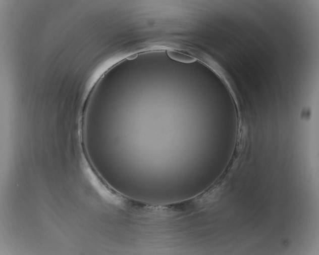 X0000112970811200908271140