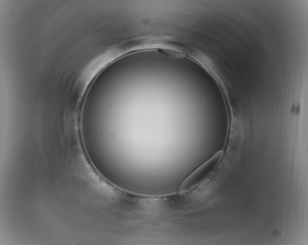 X0000112970813200908271140