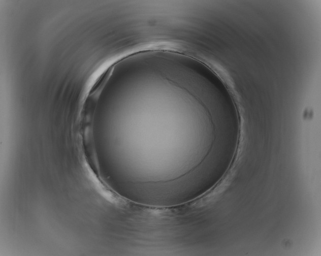 X0000112970816200908271140