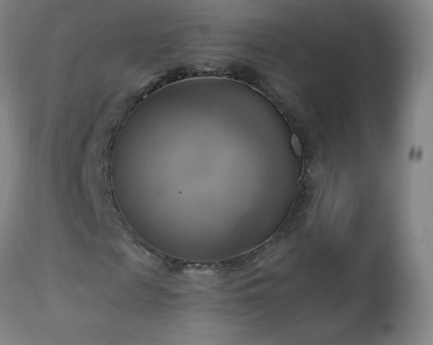 X0000112970817200908271140