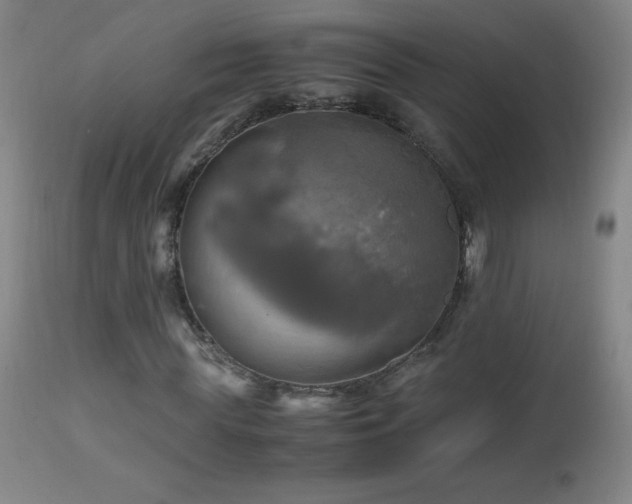 X0000112970819200908271140