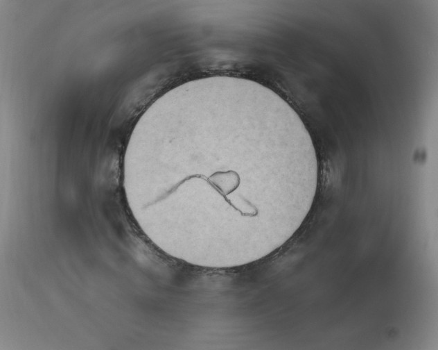 X0000112970820200908271140