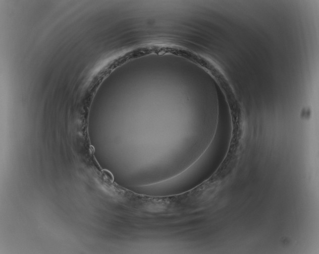 X0000112970823200908271140