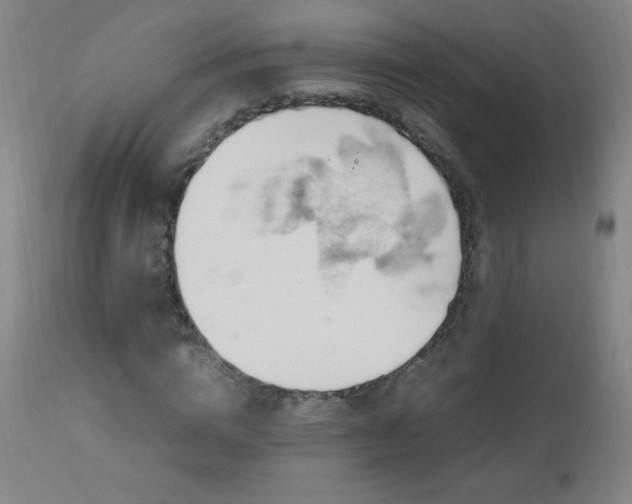 X0000112970824200908271140