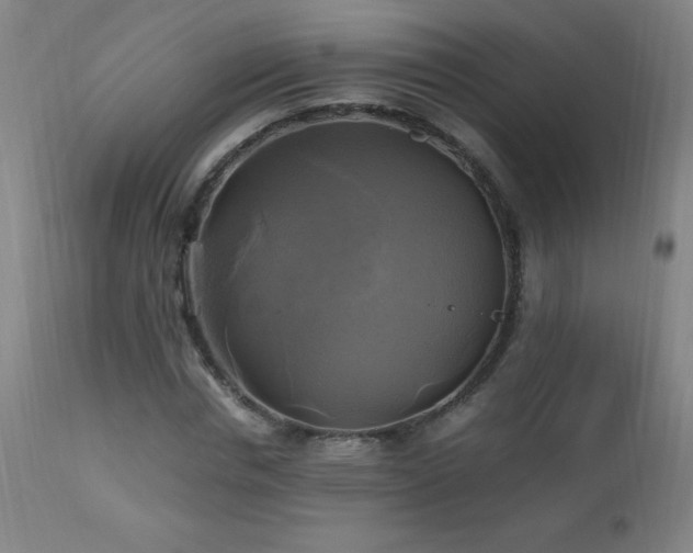 X0000112970826200908271140