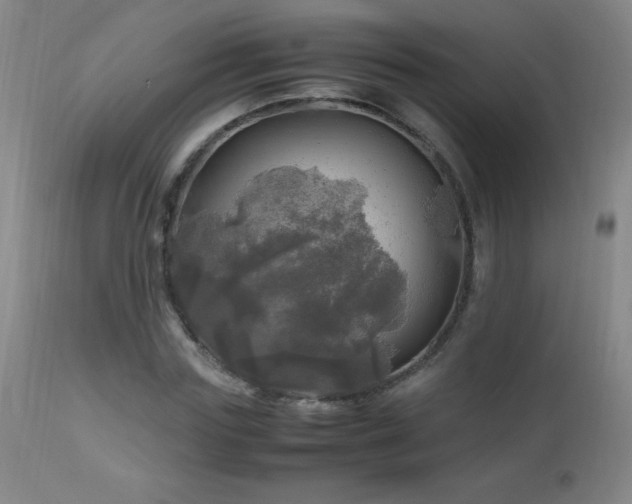 X0000112970827200908271140