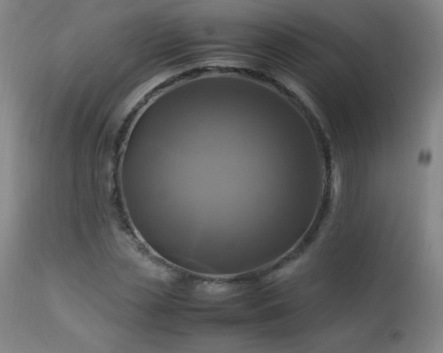 X0000112970829200908271140