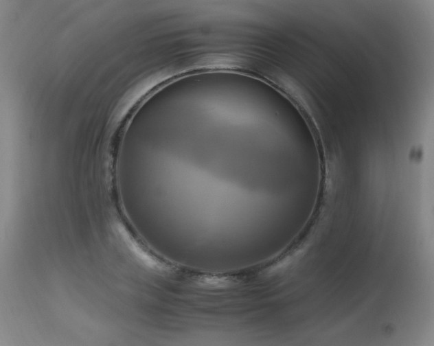 X0000112970835200908271140