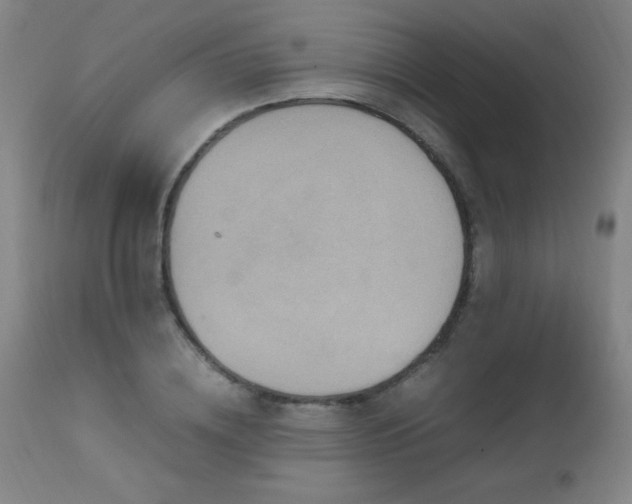 X0000112970836200908271140