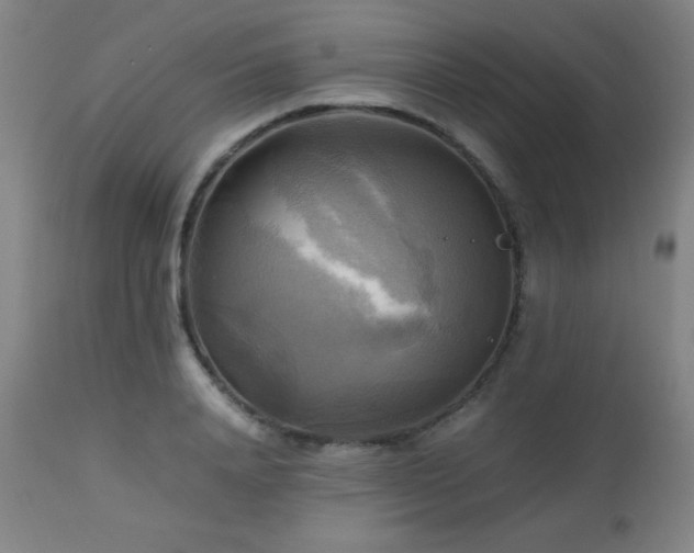 X0000112970840200908271140