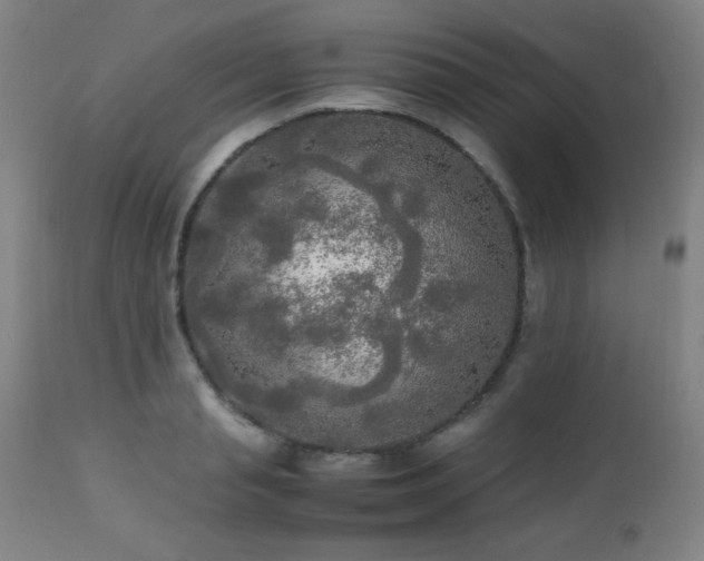 X0000112970845200908271140