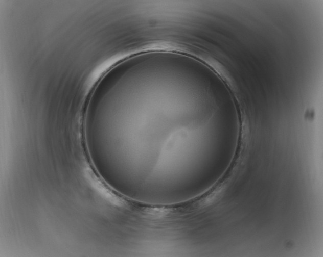X0000112970854200908271140