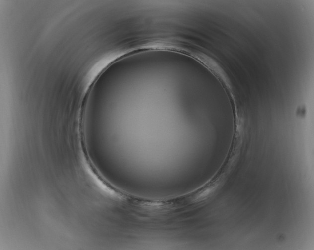 X0000112970855200908271140