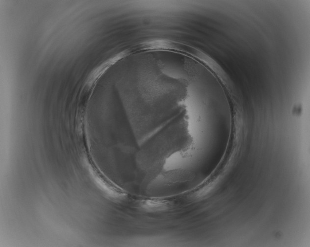 X0000112970857200908271140