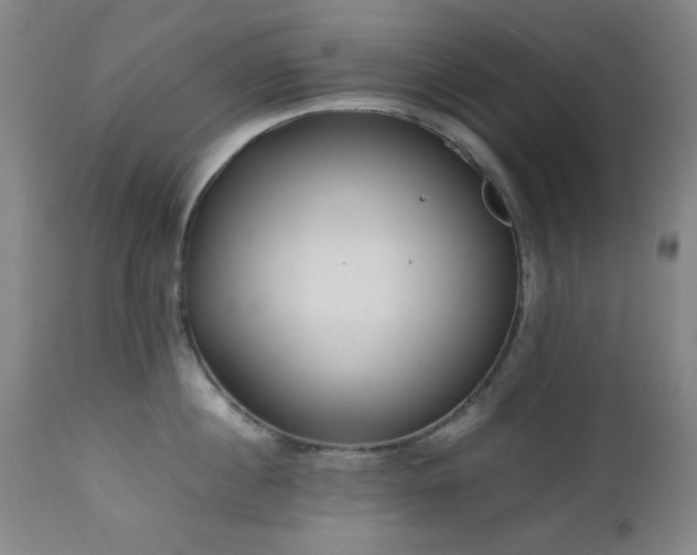 X0000112970860200908271140
